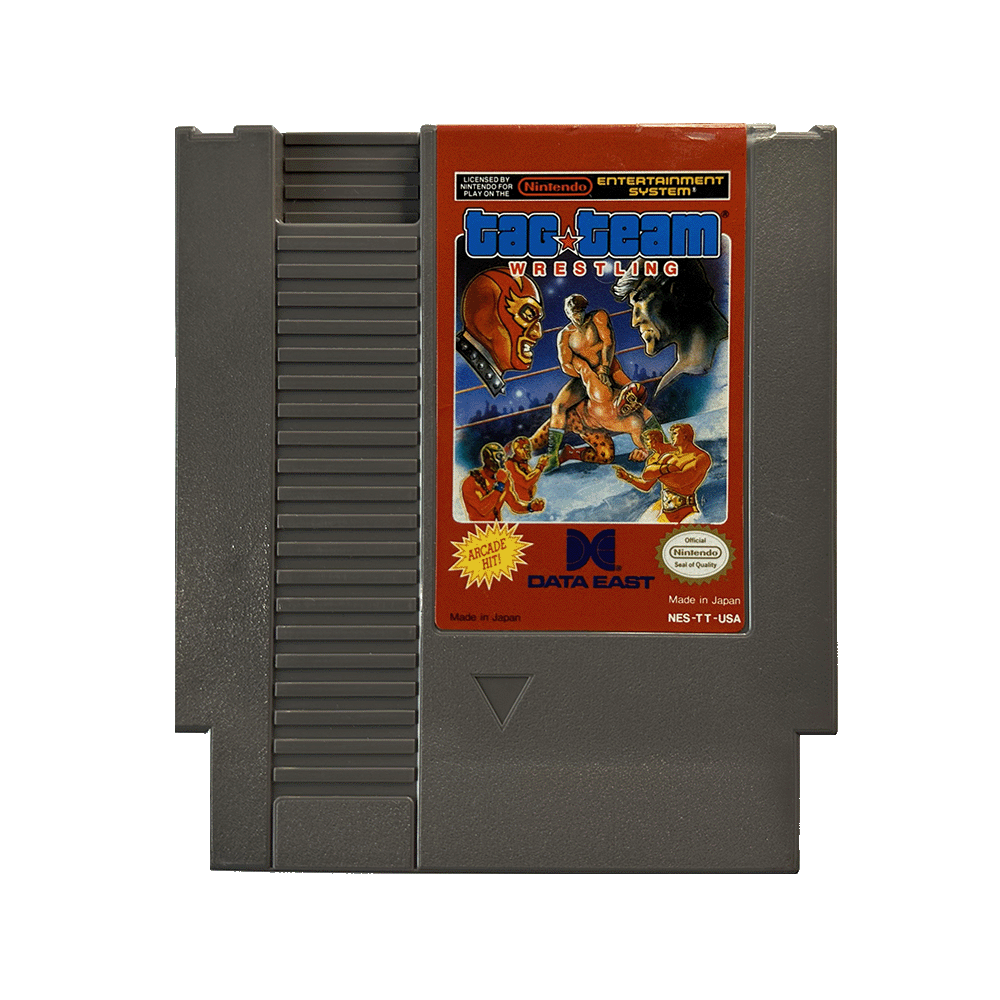 Tag Team Wrestling - NES