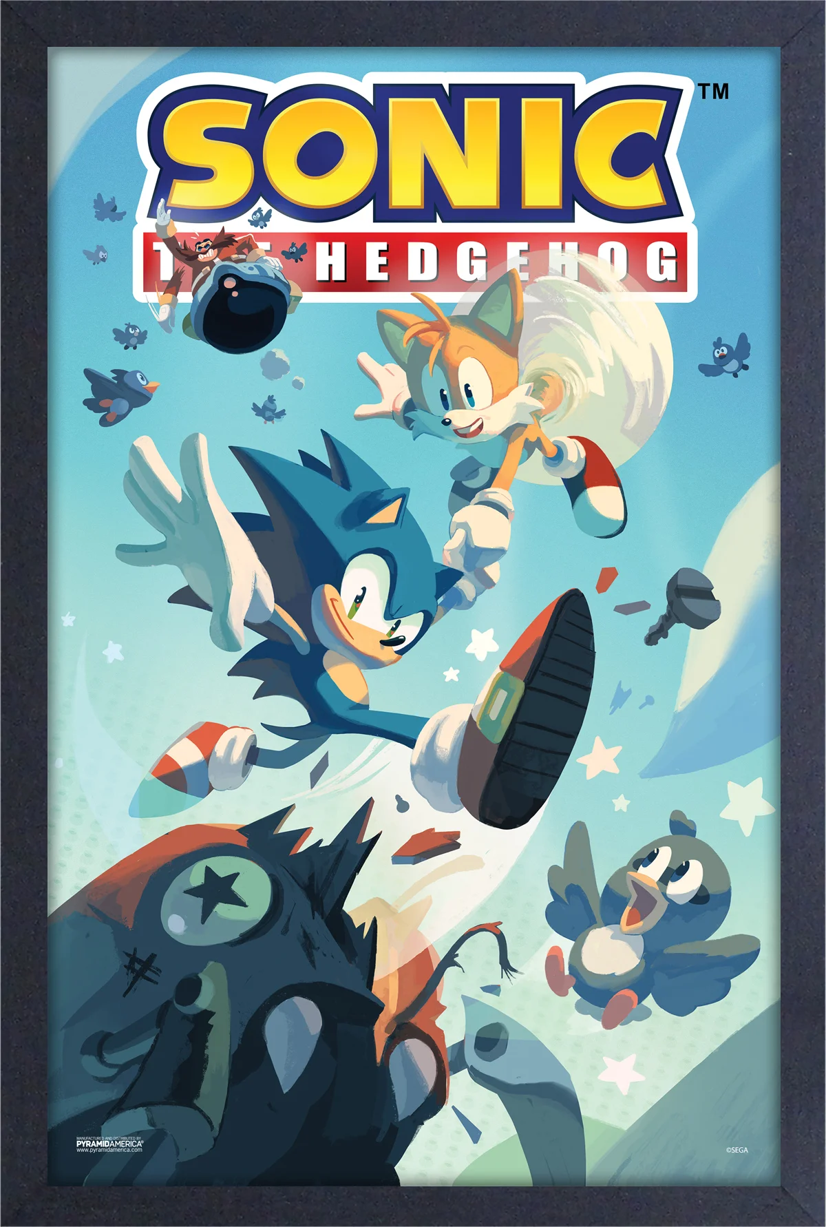 Framed Art - Sonic and Tales - 13" x 19" - Poster