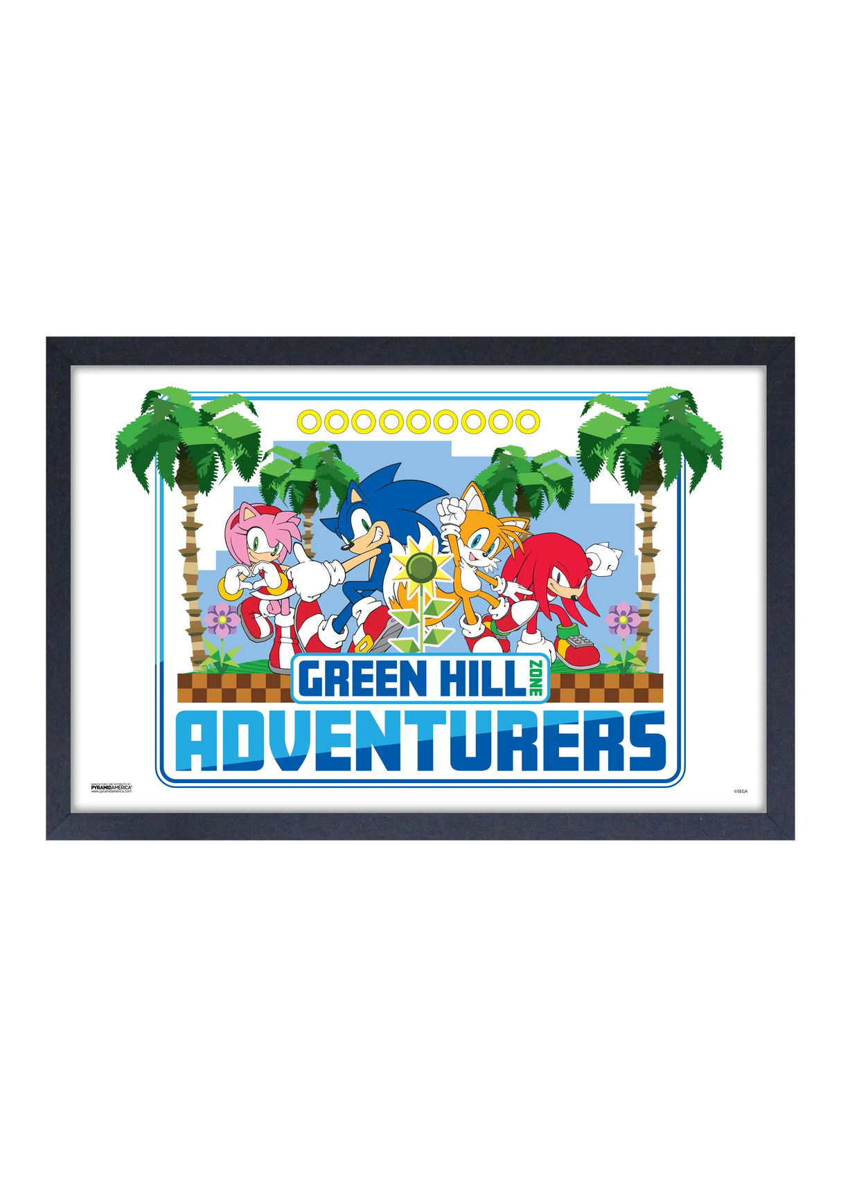 Framed Art - Sonic Green Hill Zone Adventure - 13" x 19" - Poster