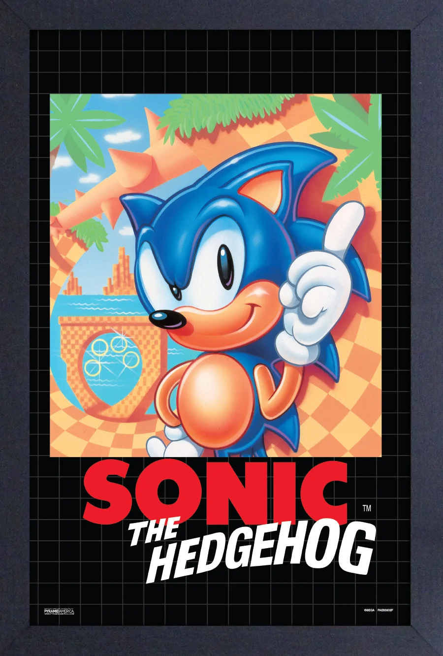 Framed Art - Sonic the Hedgehog - 13" x 19" - Poster