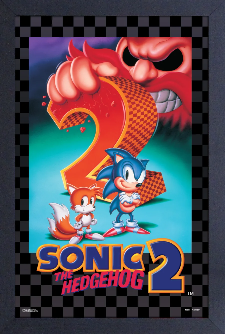 Framed Art - Sonic the Hedgehog 2 - 13" x 19" - Poster