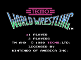 Tecmo World Wrestling - NES