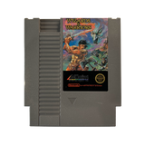 Wizards & Warriors - NES